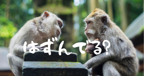 サルの家族の写真