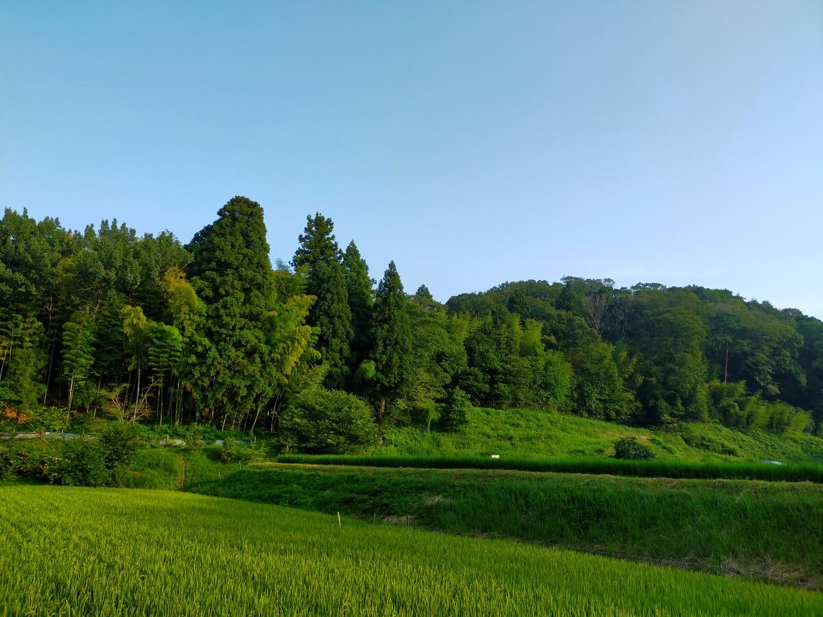 田舎の風景写真